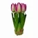 ARRANJO TULIPA X7 - PINK - FF-0007PK - LL