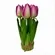 ARRANJO TULIPA X7 - PINK - FF-0007PK - LL