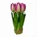 ARRANJO TULIPA X7 - PINK - FF-0007PK - LL