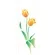 Stencil - 10x30cm - Flores Tulipas II - OPA1720 - Opa Criando Arte
