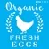 Stencil - 10x10cm - Farm Organic Fresh Eggs - OPA2903 - Opa Criando Arte