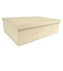 CAIXA - 40X30X08CM - TS - 618 - PC