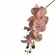 Flor Artificial em Policloreto de Vinila - Orquidea - Rosa