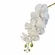 Flor Artificial em Policloreto de Vinila - Orquidea - Branca