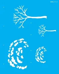 Stencil - 20X25 - OPA2965 - Country Brasil  Ipe - Opa Criando Artes