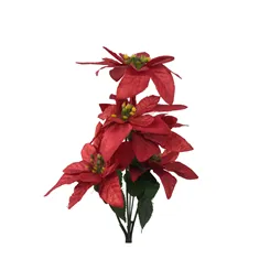 B.Bico Papagaio X5 (Vermelho) 30Cm - 64268003 - Fa