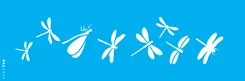 STENCIL  10x30 - 3347 - LIBELULAS I