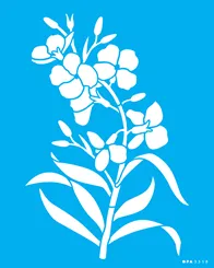 STENCIL  20x25 - 3358 - FLOR ERYSIMUM