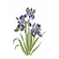 ST. 20x25 - 3389 - FLOR IRIS