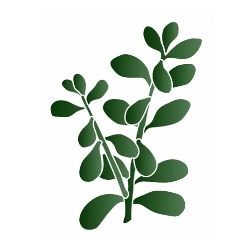 ST. 15x20 - 3383 - PLANTAS JADE