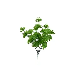 Suculenta Maço - 28cm