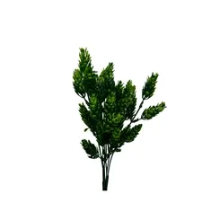 Abacaxi Galho - 30cm