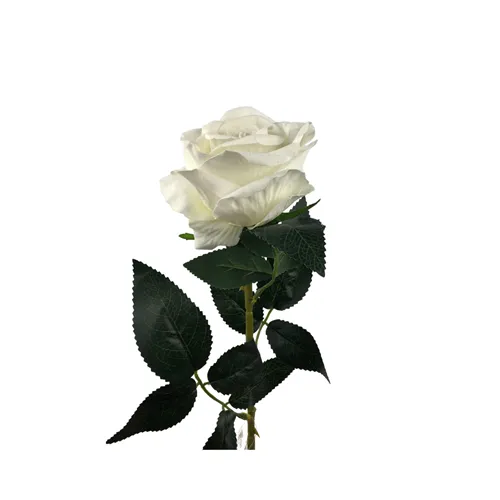 Rosa Aveludada - Unitária