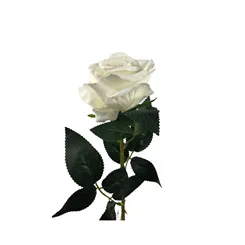 Rosa Aveludada - Unitária