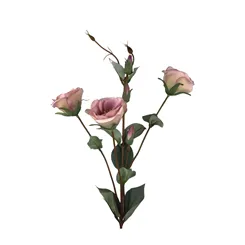 Galho Lisianto - 65cm