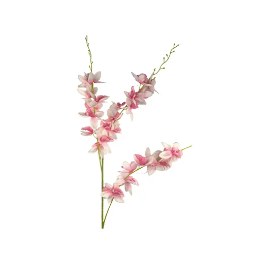 Haste de Orquidea - 84cmx17cm