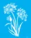Stencil - 20x25cm - For Agapanthus