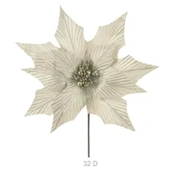 Bico de Papagaio - Champanhe - 25cm