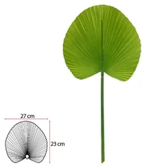 C.FOLHA LEQUE (VERDE ESCURO) 55cm  - 43953003 - FA