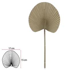 C.FOLHA LEQUE (PALHA) 36cm - 43954004 - FA