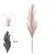 C.PLUMA X15 (ROSA ANTIGO) 1,02m  - 43317003 - FA