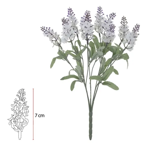 B.LAVANDA X10 (CREME LAVANDA) 32cm - 26871004 - FA
