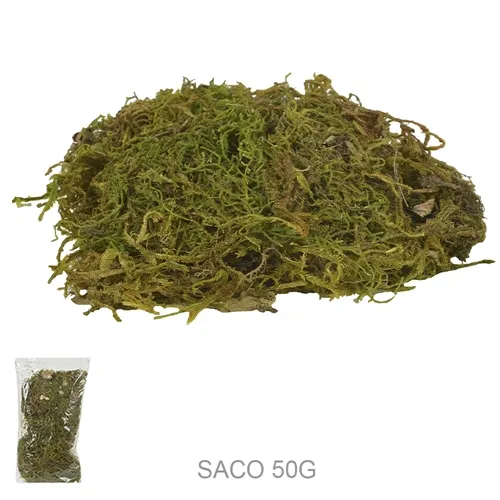 MUSGO VERDE TINGIDO (SACO 50G) 20X15CM  - 48010 - FA