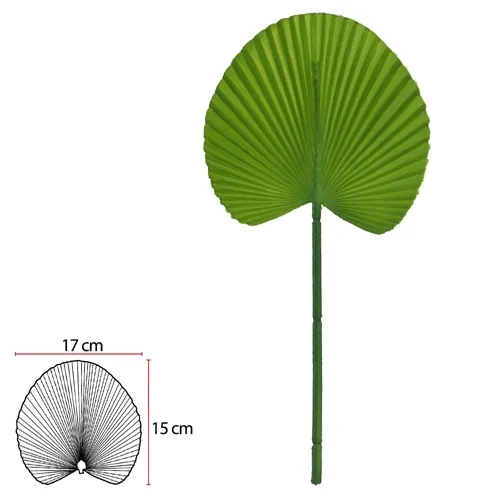 C.FOLHA LEQUE (VERDE ESCURO) 36cm - 43954003 - FA