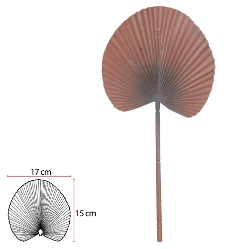 C.FOLHA LEQUE (NUDE) 36cm  - 43954010 - FA