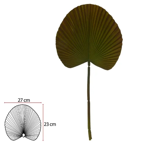 C.FOLHA LEQUE (VERDE OLIVA) 55cm - 43953007 - FA