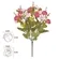 B.CAMELIA X21 (ROSA OUTONO) 37cm  - 41603006 - FA