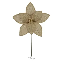 H.BICO PAPAGAIO NATAL (MARROM) 19cm - 48953002 - FA