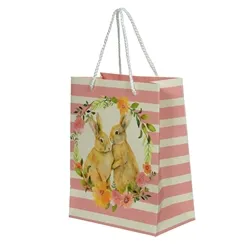 SACOLA DE PAPEL (COLORIDO) 23X18X10cm  - 55354001 - FA