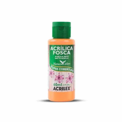 Tinta Acrilica Fosca - 60ml - Melao - 895 - Acrilex