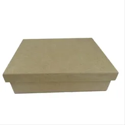 Caixa Biju Pop Retangular - 20X16X6cm