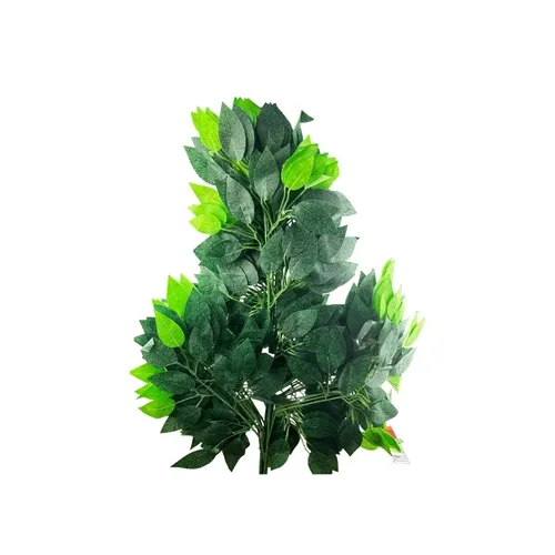 Ficus Verde - Maço com 12 Ramos - 48cm